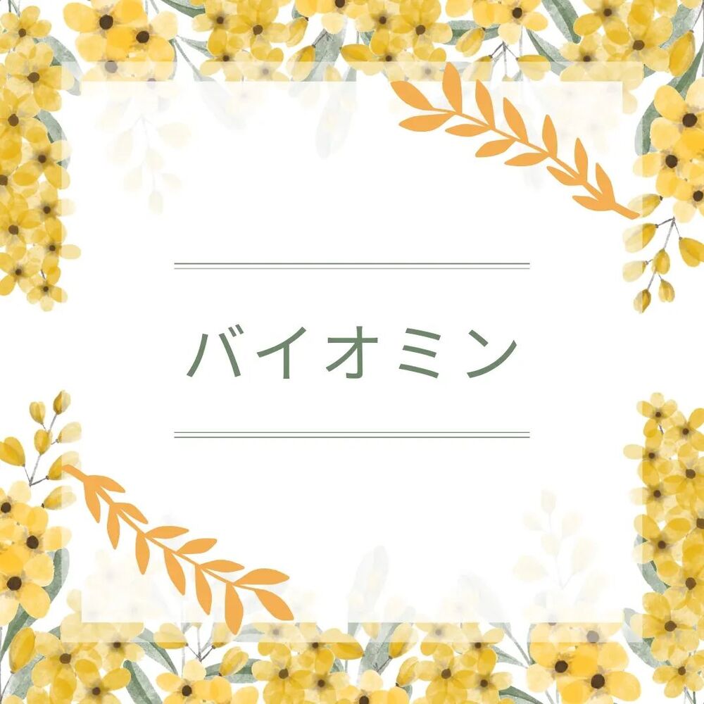 美や健康に関する様々なお役立ち情報