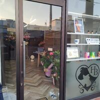 画像1542