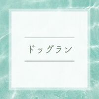 美や健康に関する様々なお役立ち情報
