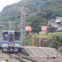 美や健康に関する様々なお役立ち情報