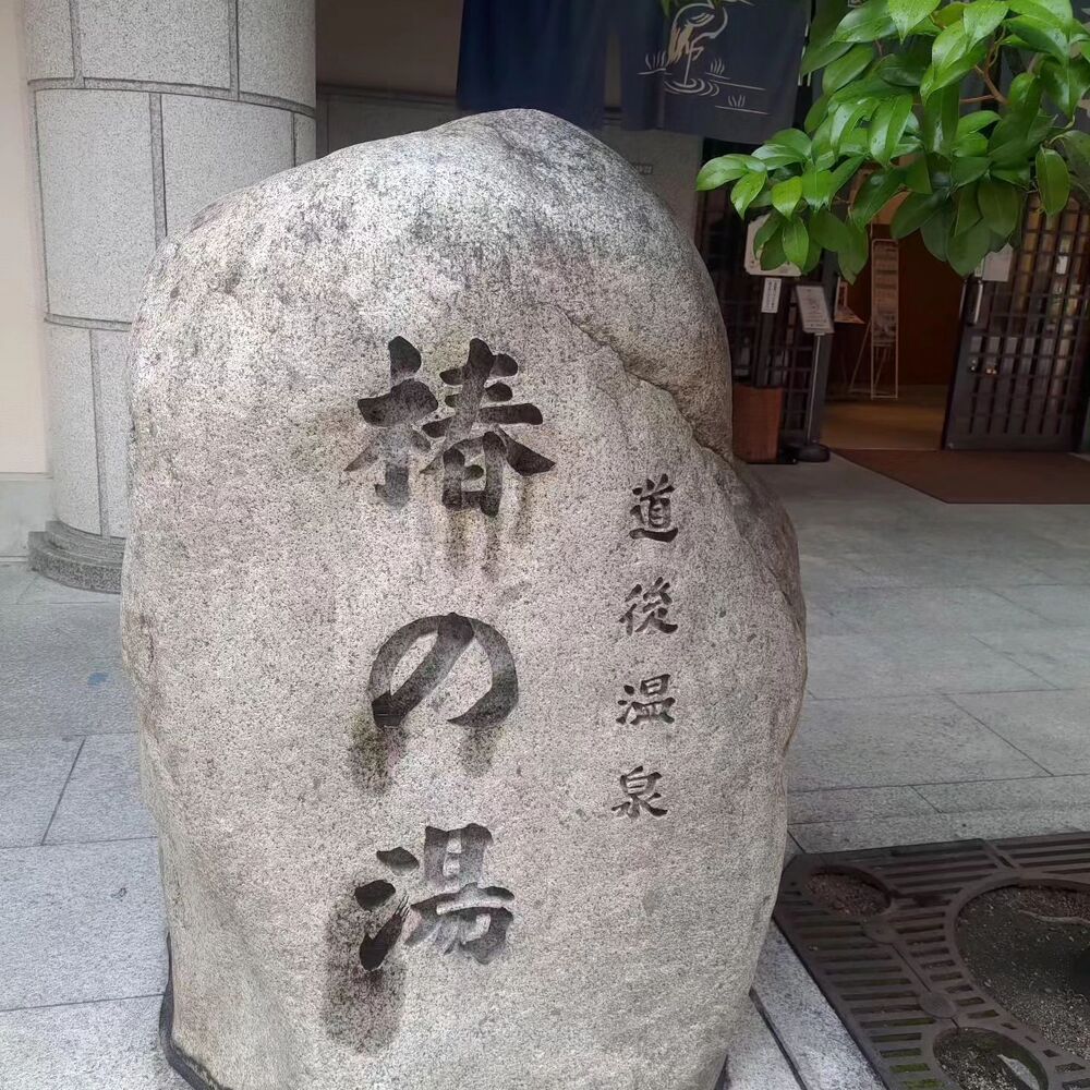 美や健康に関する様々なお役立ち情報